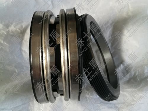 210機械密封 210機械密封2.jpg